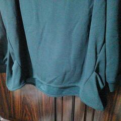 ❌(W)未使用 ３Lサイズ カットソーの画像