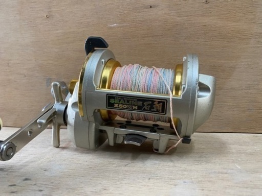 ダイワ シーライン石鯛 Z50WH 釣具