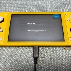 switch lite  64gbSD  充電アダプター付き