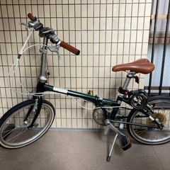 ダホン ボードウォーク 20型グリーン