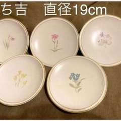 京都　たち吉　お皿中大10皿＋湯呑みセット