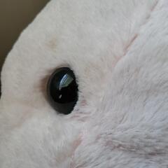 ぽてうさ ろっぴー 2点セットの画像