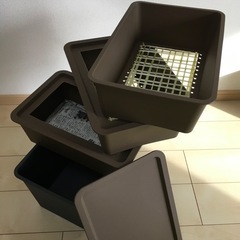 コンポスト用シマミミズを探しています