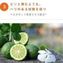 skinvill スキンビル モイスチャーミルク 乳液 120mlの画像