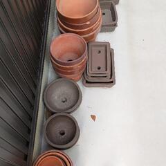 プランター 植木鉢 盆栽 さつき 250ヶの画像