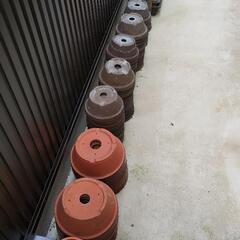 プランター 植木鉢 盆栽 さつき 250ヶの画像