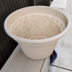 プランター 植木鉢 盆栽 さつき 250ヶの画像