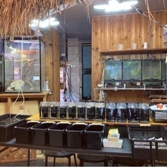 ★メダカ即売会会場セッティング完了★
