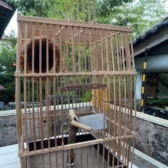 鳥籠　竹