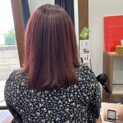 スタイリストデビューしたので