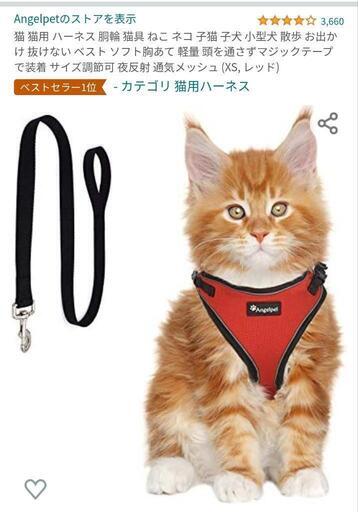 子猫ちゃん用ハーネス