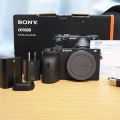 SONY ILCE-6600M ボディ