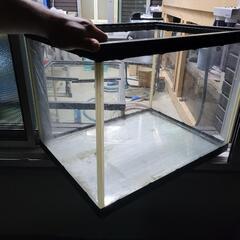 中古60cmワイド水槽の画像