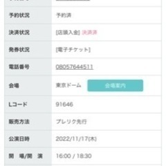 Justin Bieber 11月東京ドーム1枚の画像