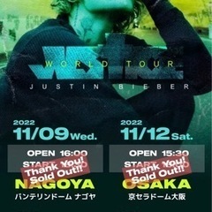 Justin Bieber 11月東京ドーム1枚