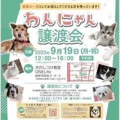 🤍🤍本日🤍🤍保護犬・猫の合同譲渡会🤍🤍