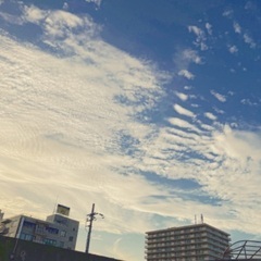 ゆるっと写真部📷
