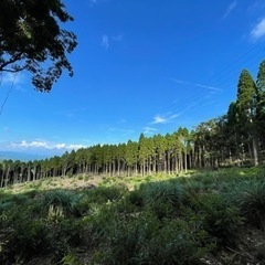 随時受付中！鹿児島狩猟体験（鹿笛を使ったコール猟体験あり） - 薩摩川内市