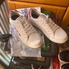 GESS新品箱なしの画像