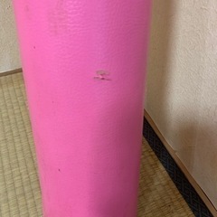 ストレッチポールの画像