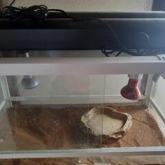 爬虫類 ケージその他セット