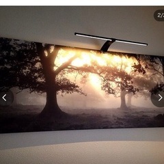 IKEA アート　ファブリックパネル森に差し込む光 PJATTERYD アート(イケア)  の画像