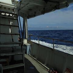 沖釣りのお誘いです。