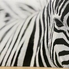 イケア　ファブリックパネル　PJATTERYDアート シマウマ 78×118cmの画像