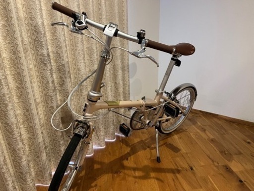 ダホン ボードウォーク2021 シルキーベージュ