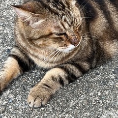 マジメなやり取りができる友達が欲しい