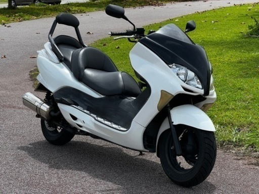 持ち帰りOKフォルツァmf08