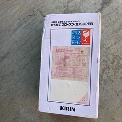 おうちでフローズン生