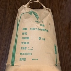 新米　玄米　ミルキークイーン⭐️の画像