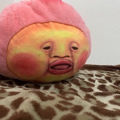 こびとづかんティッシュ入れ　決まりました