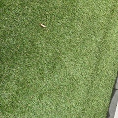 リアル　人工芝の画像