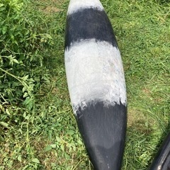 カヌー