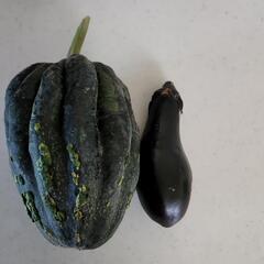 (お話中)趣味で作った野菜を定期的に引き取って頂ける場所を教えて...
