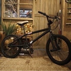 BMX 20インチ 自転車 マットブラック モアノ moinea...