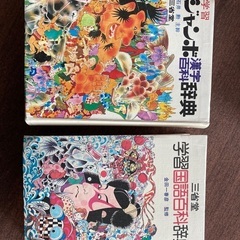 国語辞典　漢字辞典　2冊