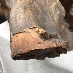 切り株の画像