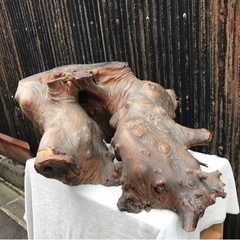 切り株の画像