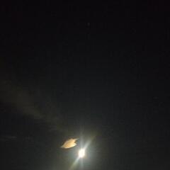 今日は･･･