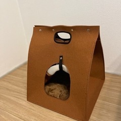 猫の寝床の画像