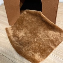 猫の寝床の画像