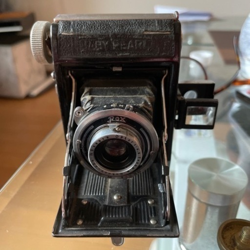 ZEISS  IKOINカメラ