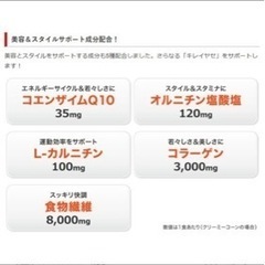 DHC プロティンダイエット スープパスタ (11袋入)の画像