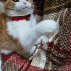動画編集を教えてくださる方いますか？