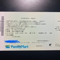 【1枚】氣志團万博チケット2022/9/18 1日入場券