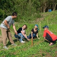 急募！田んぼ・竹林整地作業してくださる方募集の画像