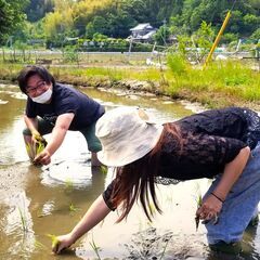 急募！田んぼ・竹林整地作業してくださる方募集の画像